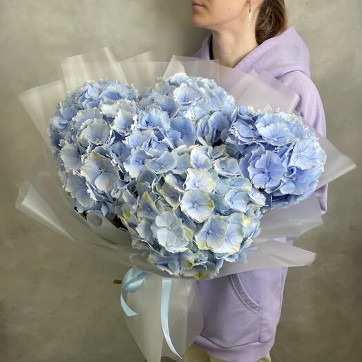 Blue Verena 5