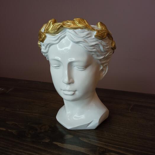 The Head of Venus
