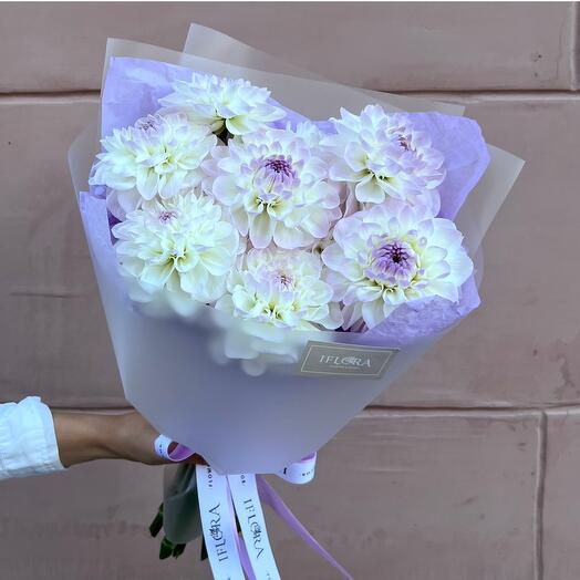 Lavender Dahlias