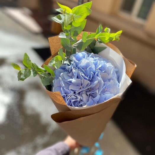 Bouquet of hydrangeas and eucalyptus