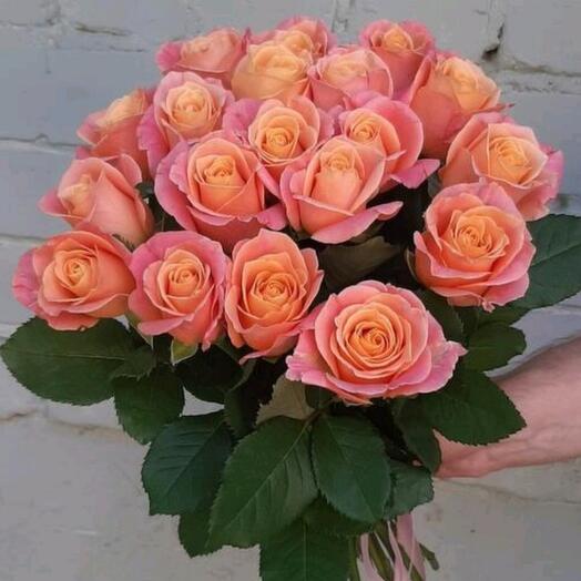 15 coral roses