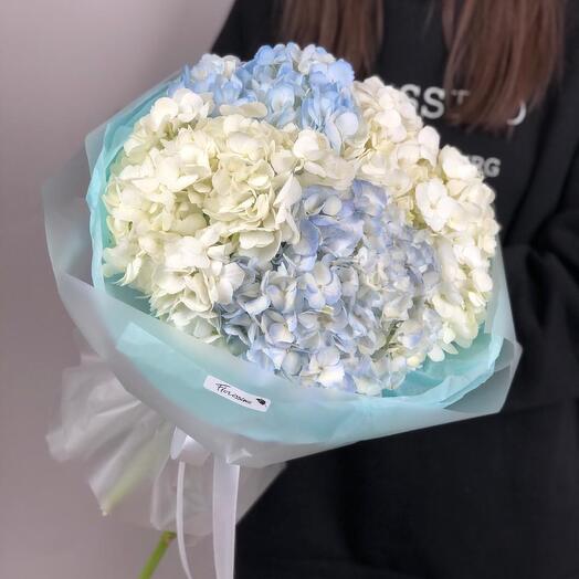 Bouquet of 5 hydrangea twigs