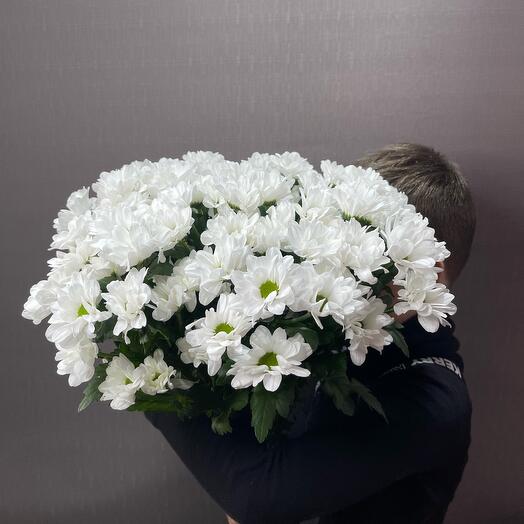 Монобукет Ромашки