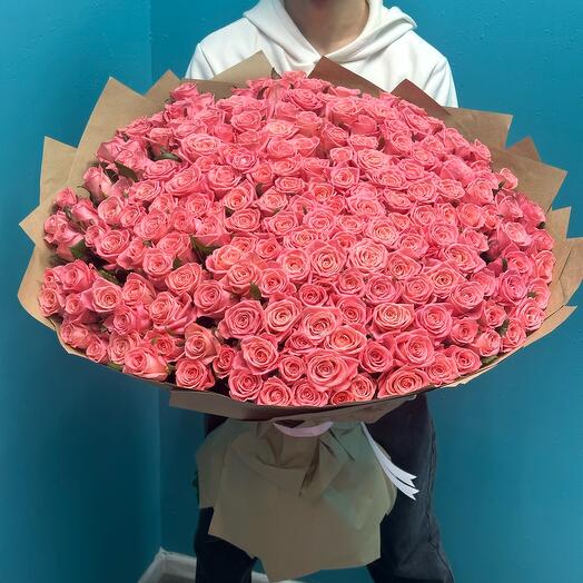 201 Roses
