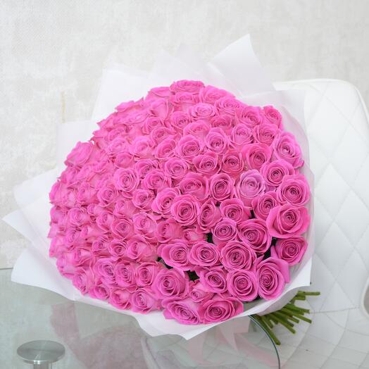 101 Rosa (AQUA )