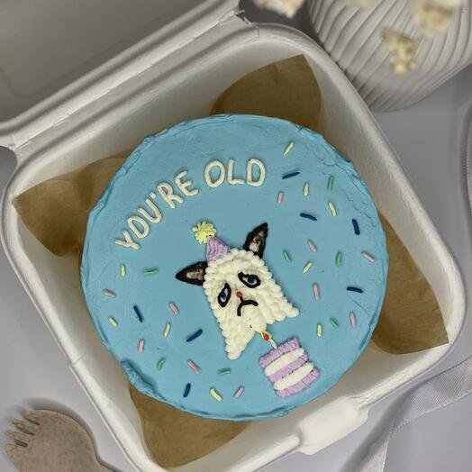 Бенто торт с рисунком и надписью "YOU ARE OLD", торт для парня, торт для друга, торт для подруги, торт для девушки