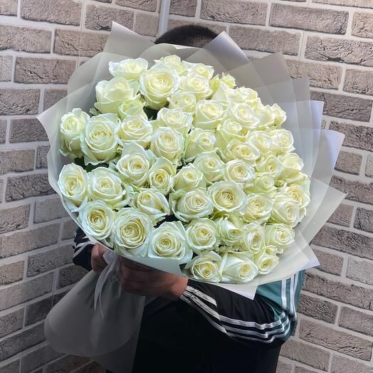 51 Роза белая