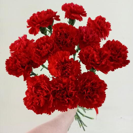 Букет из 15 красных гвоздик