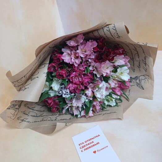 Alstroemeria Mix en Craft
