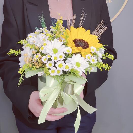 Flowers in a box with a sunflower and a touching daisy Summer