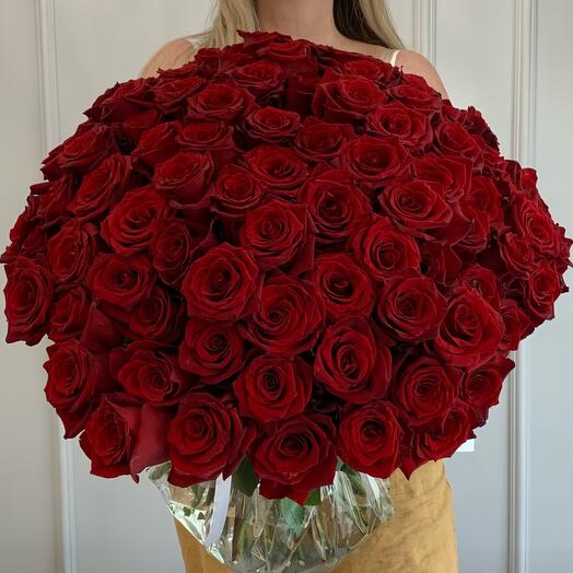 101 Красная Роза 🌹 Explorer сорт + лента