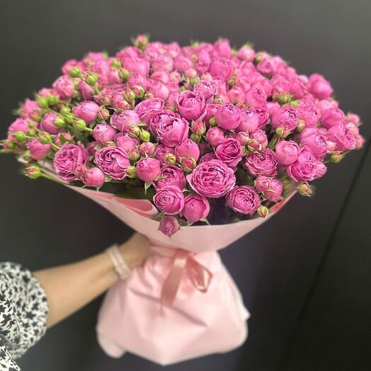 Мисти бабл 51