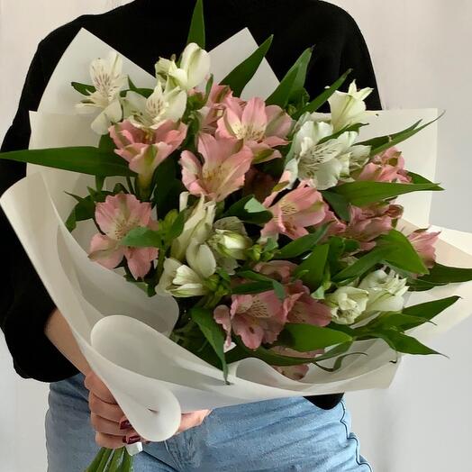 Стойкая альстромерия МОНО 💌