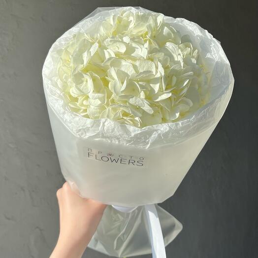 Hydrangea bouquet-a compliment