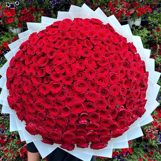 Bouquet of 201 red roses