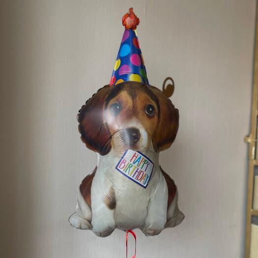 Шар щенок в колпаке «happy birthday