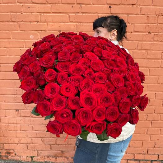 Premium 101 ароматная Красная Роза 🌹