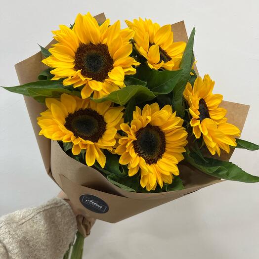 Sunflowers