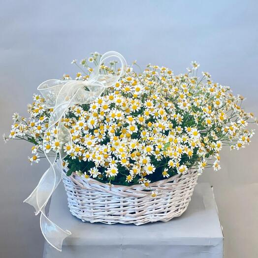 Корзина с ромашками