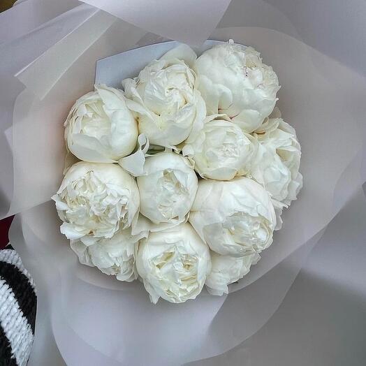 White peonies 11 stems