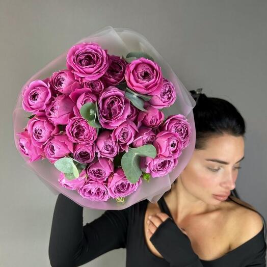 Мисти Баблс (9)