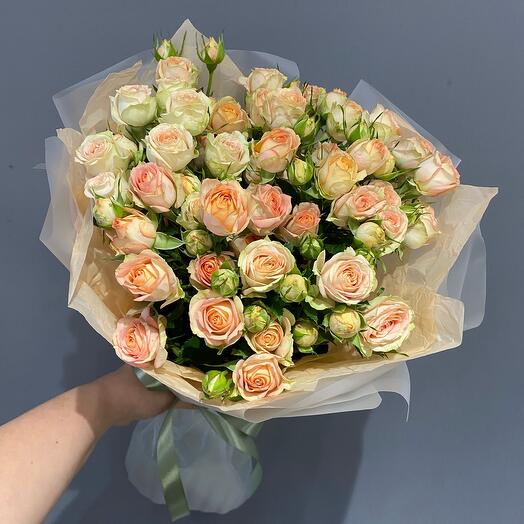 Monobooket de rosas arbustivas