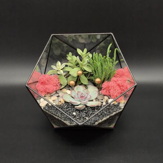 Флорариум с суккулентами и золотыми бусинами Притяжение на 8 марта