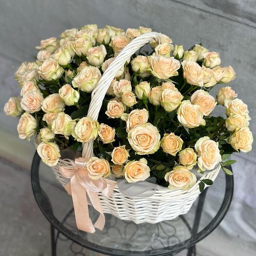 Basket with Shrub roses "Brut"