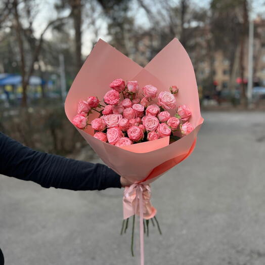 Pink spray rose