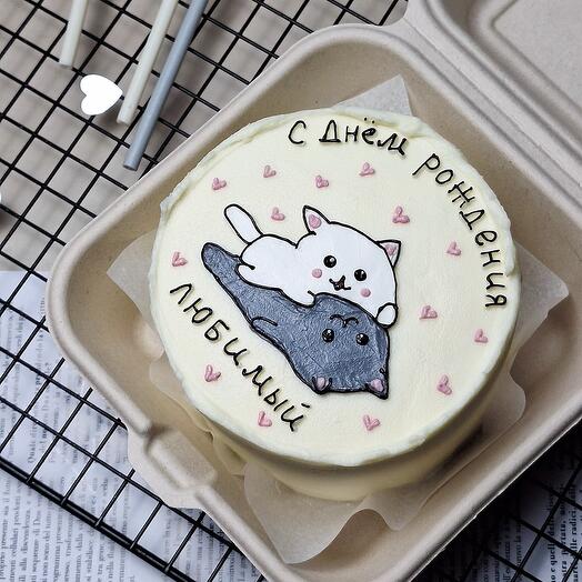 Бенто " Любимому с котиками "