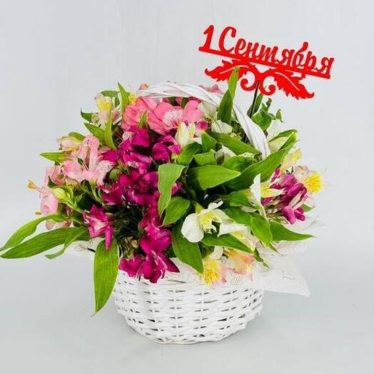 Alstroemeria flowers in a gift basket on September 1st