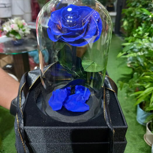 Blue Forever Rose