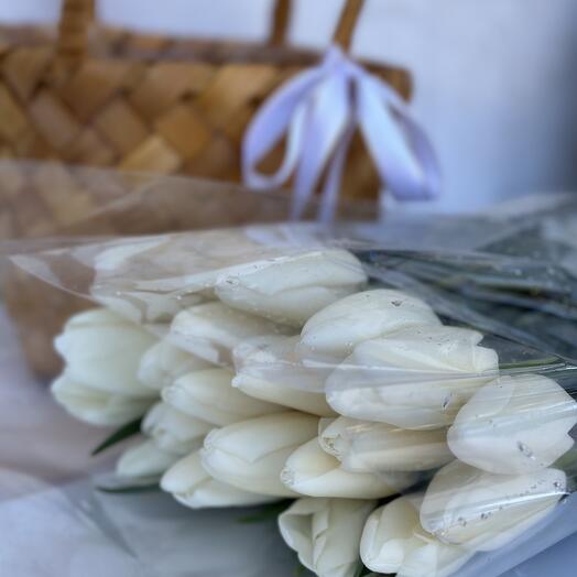 White tulips