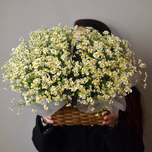 Корзина с кустовыми ромашками
