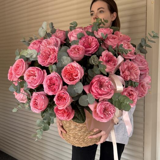 Кашпо с Pink Expression