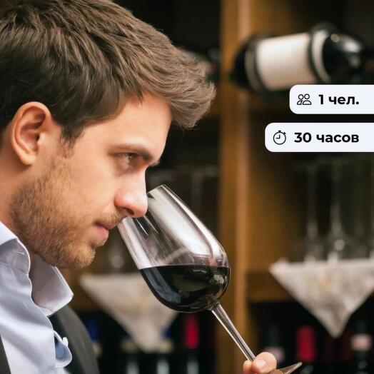 Начинающий сомелье. Курс обучения в винной школе