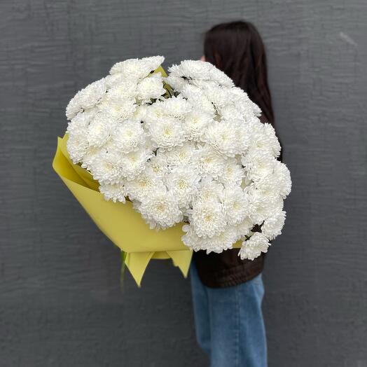 Букет из 15 кустовых хризантем