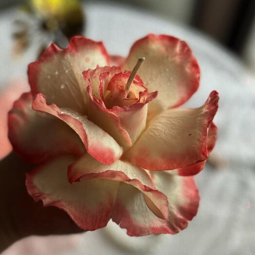 Handmade French Rose candle with clean cotton scent - სანთელი ფრანგული ვარდი