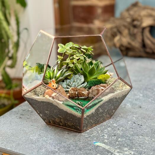 Dodecahedron L and fawn - 216