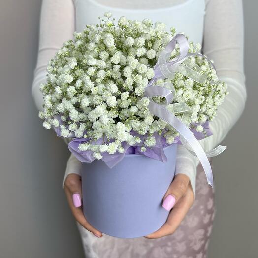 Коробка с гипсофилой💜