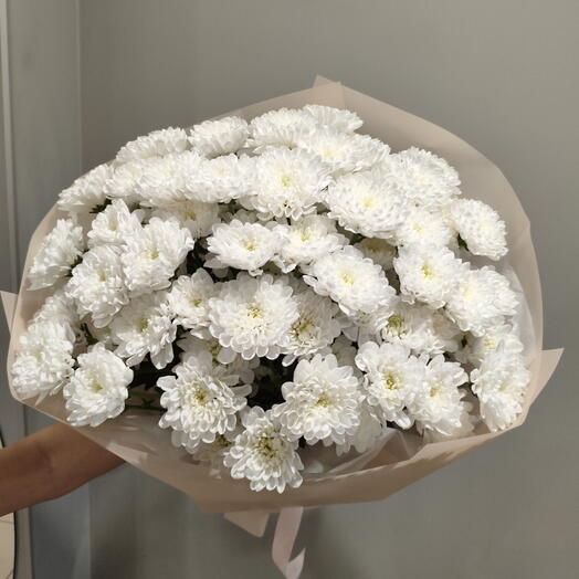 Хризантема