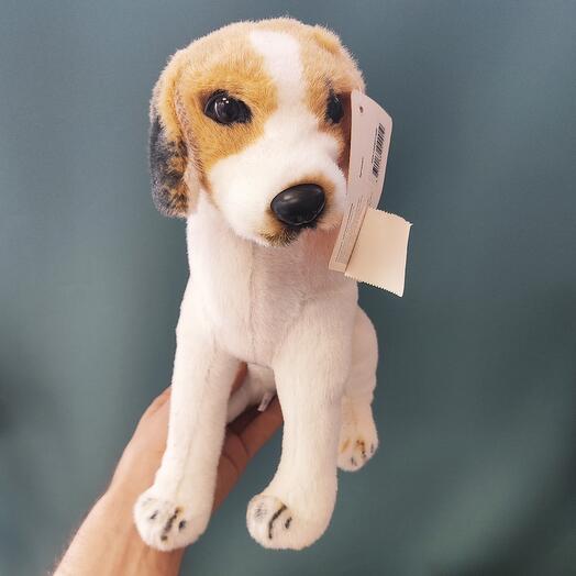 A soft toy Cat