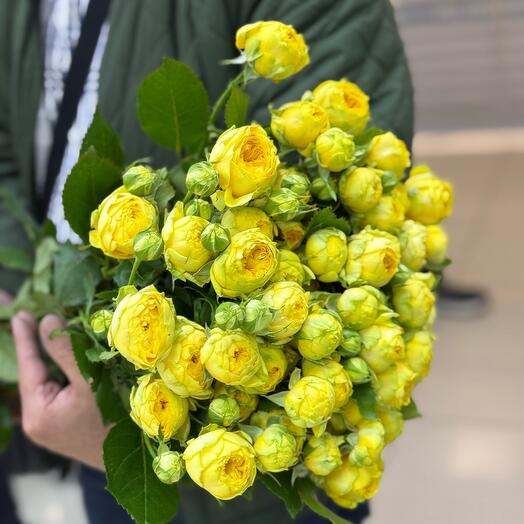 Монобукет из 9 кустовых роз