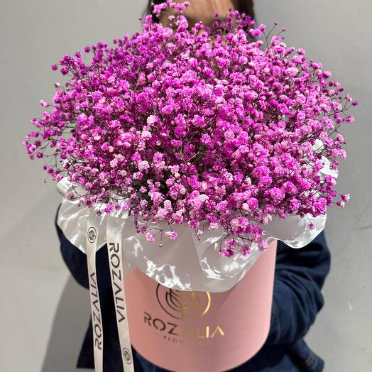 Гипсофила в коробке