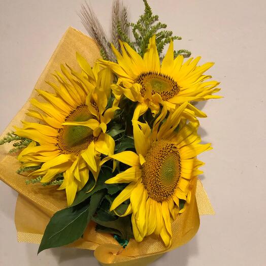 Подсолнухи с колосками