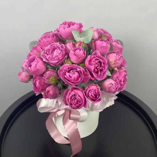 Мисти баблс