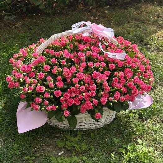 51 кустовая Роза 🌹