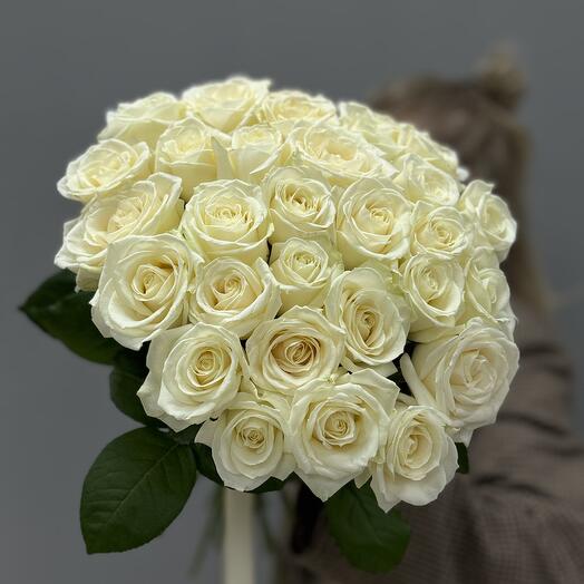 25 ароматных роз Аваланж