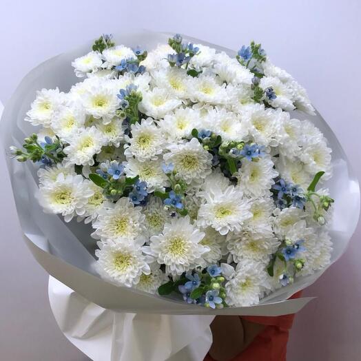 Северное сияние полярное