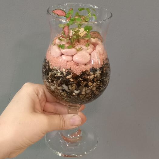 Мини Флорариум в бокале
